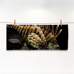 Lionfish 3 Cosmetic Storage Cases by trendistuff