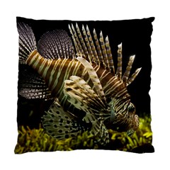 Lionfish 3 Standard Cushion Case (one Side) by trendistuff