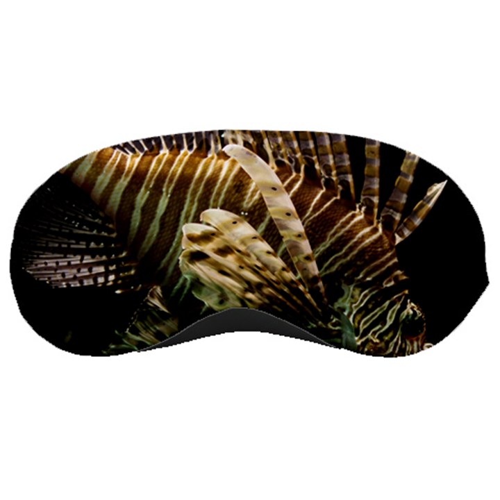 LIONFISH 3 Sleeping Masks