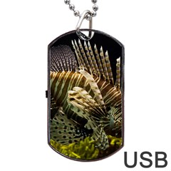 Lionfish 3 Dog Tag Usb Flash (two Sides) by trendistuff