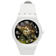 Lionfish 3 Round Plastic Sport Watch (m) by trendistuff