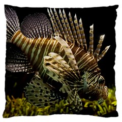 Lionfish 3 Large Cushion Case (one Side) by trendistuff