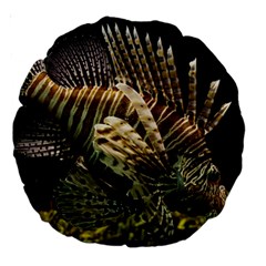 Lionfish 3 Large 18  Premium Round Cushions by trendistuff