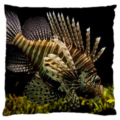 Lionfish 3 Standard Flano Cushion Case (two Sides) by trendistuff