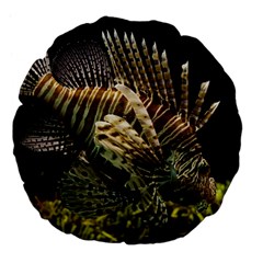 Lionfish 3 Large 18  Premium Flano Round Cushions by trendistuff