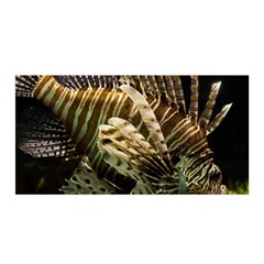 Lionfish 3 Satin Wrap by trendistuff