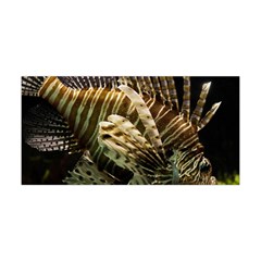 Lionfish 3 Yoga Headband by trendistuff