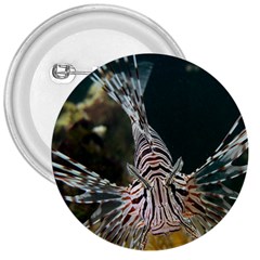 Lionfish 4 3  Buttons by trendistuff