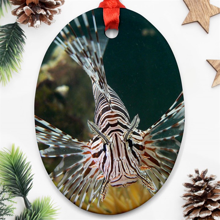 LIONFISH 4 Ornament (Oval)