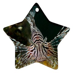 Lionfish 4 Ornament (star) by trendistuff