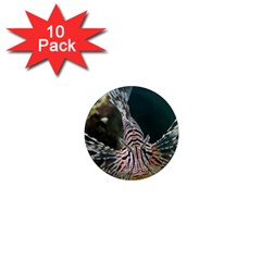 Lionfish 4 1  Mini Magnet (10 Pack)  by trendistuff