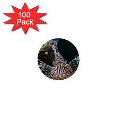 Lionfish 4 1  Mini Buttons (100 Pack)  by trendistuff