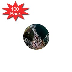 Lionfish 4 1  Mini Magnets (100 Pack)  by trendistuff