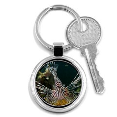 Lionfish 4 Key Chains (round)  by trendistuff