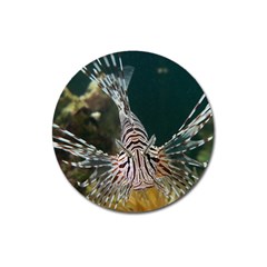 Lionfish 4 Magnet 3  (round) by trendistuff