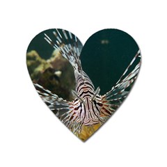 Lionfish 4 Heart Magnet by trendistuff