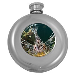 Lionfish 4 Round Hip Flask (5 Oz) by trendistuff