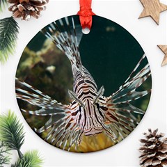 Lionfish 4 Round Ornament (two Sides) by trendistuff