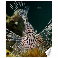 Lionfish 4 Canvas 16  X 20   by trendistuff