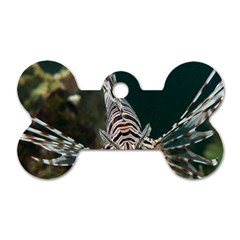 Lionfish 4 Dog Tag Bone (one Side) by trendistuff