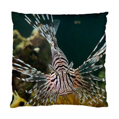 Lionfish 4 Standard Cushion Case (two Sides) by trendistuff