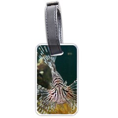 Lionfish 4 Luggage Tags (one Side)  by trendistuff