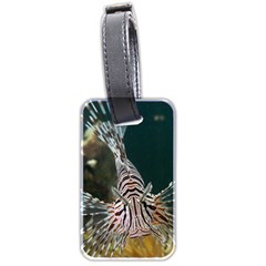 Lionfish 4 Luggage Tags (two Sides)