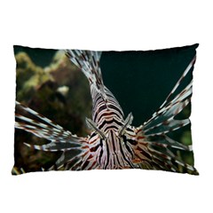 Lionfish 4 Pillow Case (two Sides) by trendistuff