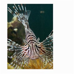 Lionfish 4 Large Garden Flag (two Sides) by trendistuff