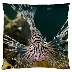 Lionfish 4 Large Cushion Case (one Side) by trendistuff