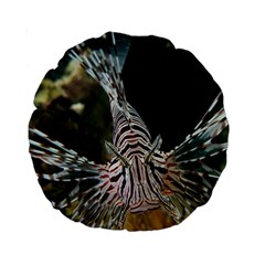 Lionfish 4 Standard 15  Premium Round Cushions by trendistuff