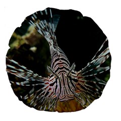 Lionfish 4 Large 18  Premium Round Cushions by trendistuff