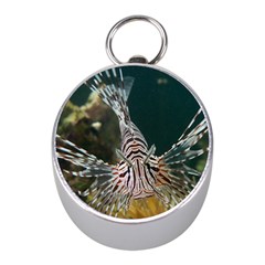 Lionfish 4 Mini Silver Compasses by trendistuff