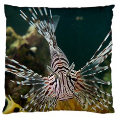 Lionfish 4 Large Flano Cushion Case (two Sides) by trendistuff