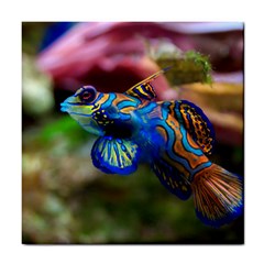 Mandarinfish 1 Tile Coasters by trendistuff