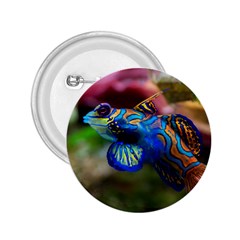 Mandarinfish 1 2 25  Buttons by trendistuff