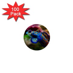 Mandarinfish 1 1  Mini Buttons (100 Pack)  by trendistuff