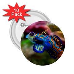 Mandarinfish 1 2 25  Buttons (10 Pack)  by trendistuff