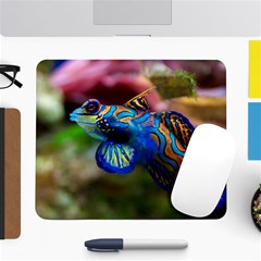 Mandarinfish 1 Large Mousepads by trendistuff