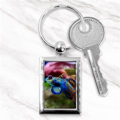 Mandarinfish 1 Key Chains (rectangle)  by trendistuff