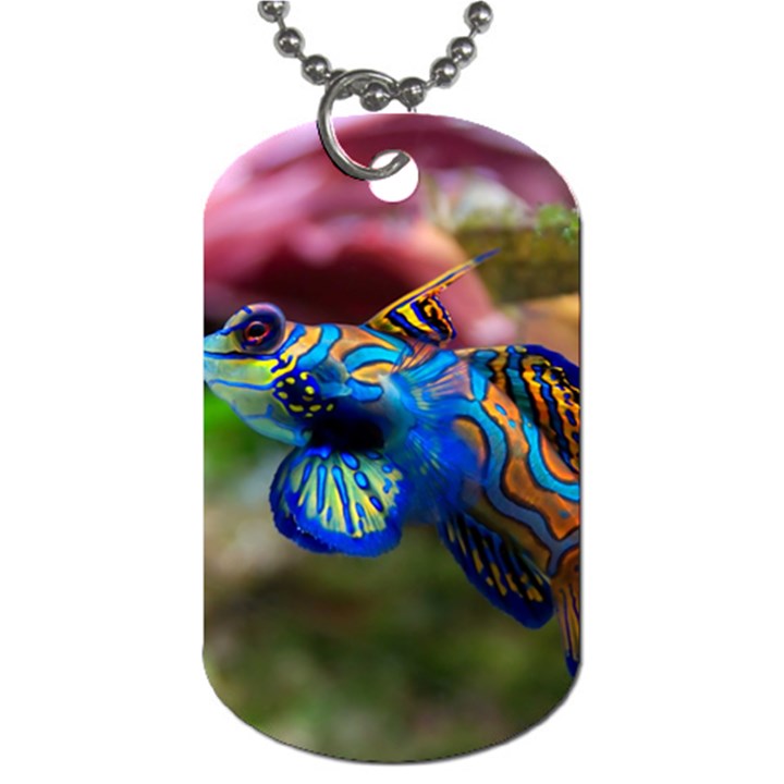 MANDARINFISH 1 Dog Tag (Two Sides)