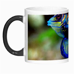 Mandarinfish 1 Morph Mugs by trendistuff