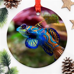 Mandarinfish 1 Round Ornament (two Sides) by trendistuff