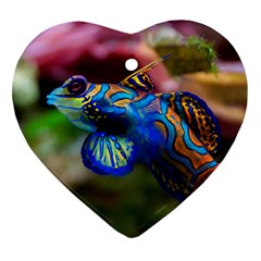 Mandarinfish 1 Heart Ornament (two Sides) by trendistuff