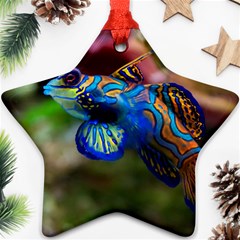 Mandarinfish 1 Star Ornament (two Sides) by trendistuff