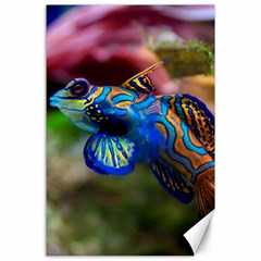 Mandarinfish 1 Canvas 24  X 36  by trendistuff