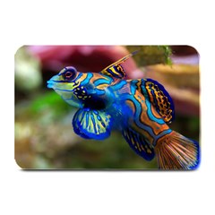 Mandarinfish 1 Plate Mats by trendistuff