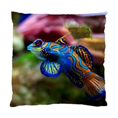 Mandarinfish 1 Standard Cushion Case (two Sides) by trendistuff