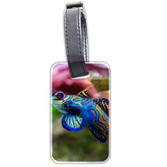 Mandarinfish 1 Luggage Tags (two Sides) by trendistuff