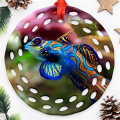 Mandarinfish 1 Round Filigree Ornament (two Sides) by trendistuff